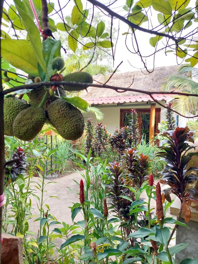 Om Home Sihanoukville Ngoại thất bức ảnh
